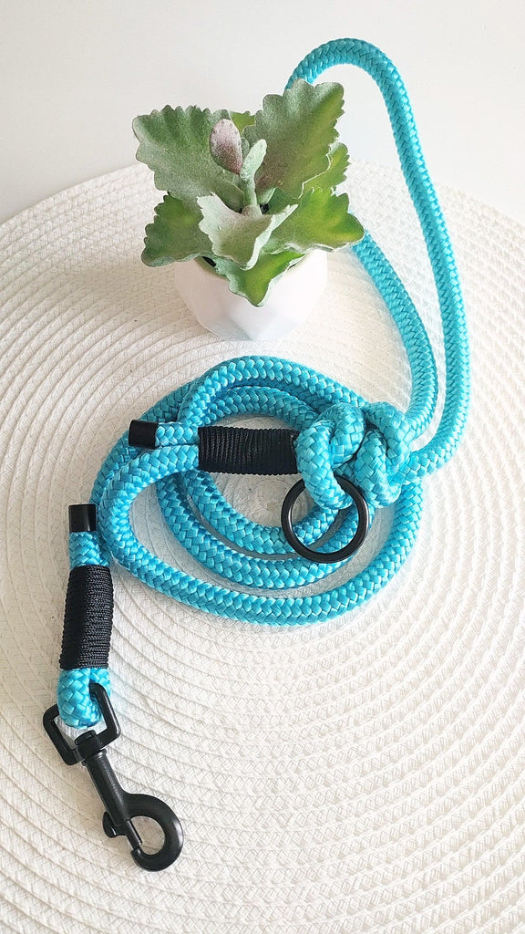 Blue and Noir Rope Lead - PeachyPawsBoutique