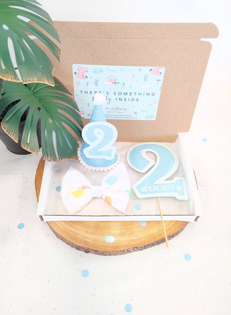 Blue Sparkle Dog Birthday Box - PeachyPawsBoutique