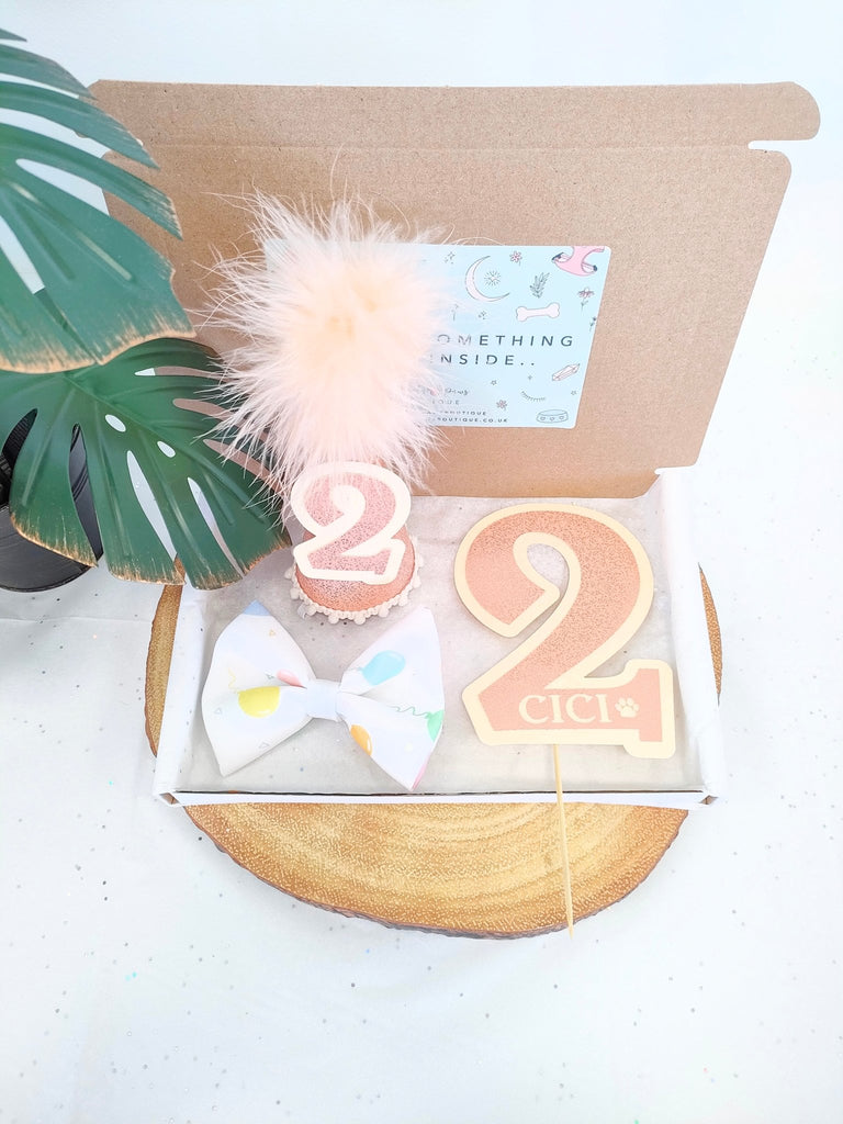 Champagne Sparkle Dog Birthday Box - PeachyPawsBoutique