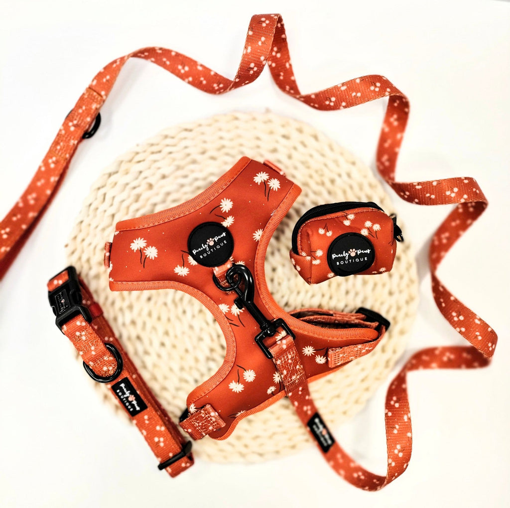 Cinnamon Spice Dog Harness - PeachyPawsBoutique
