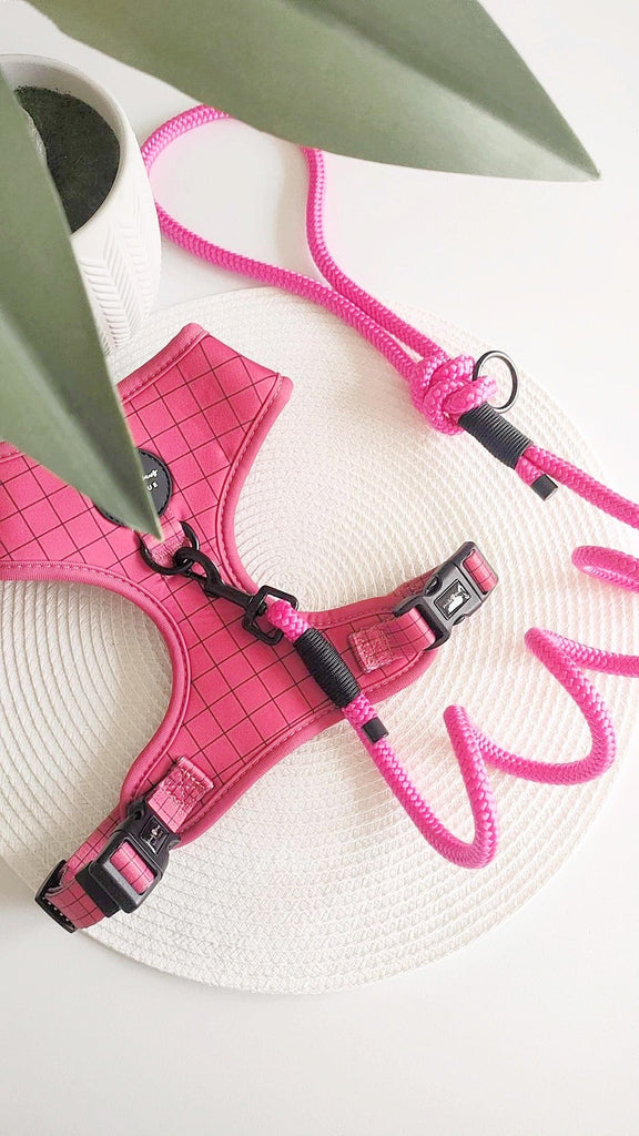 Hot Pink and Noir Rope Lead - PeachyPawsBoutique