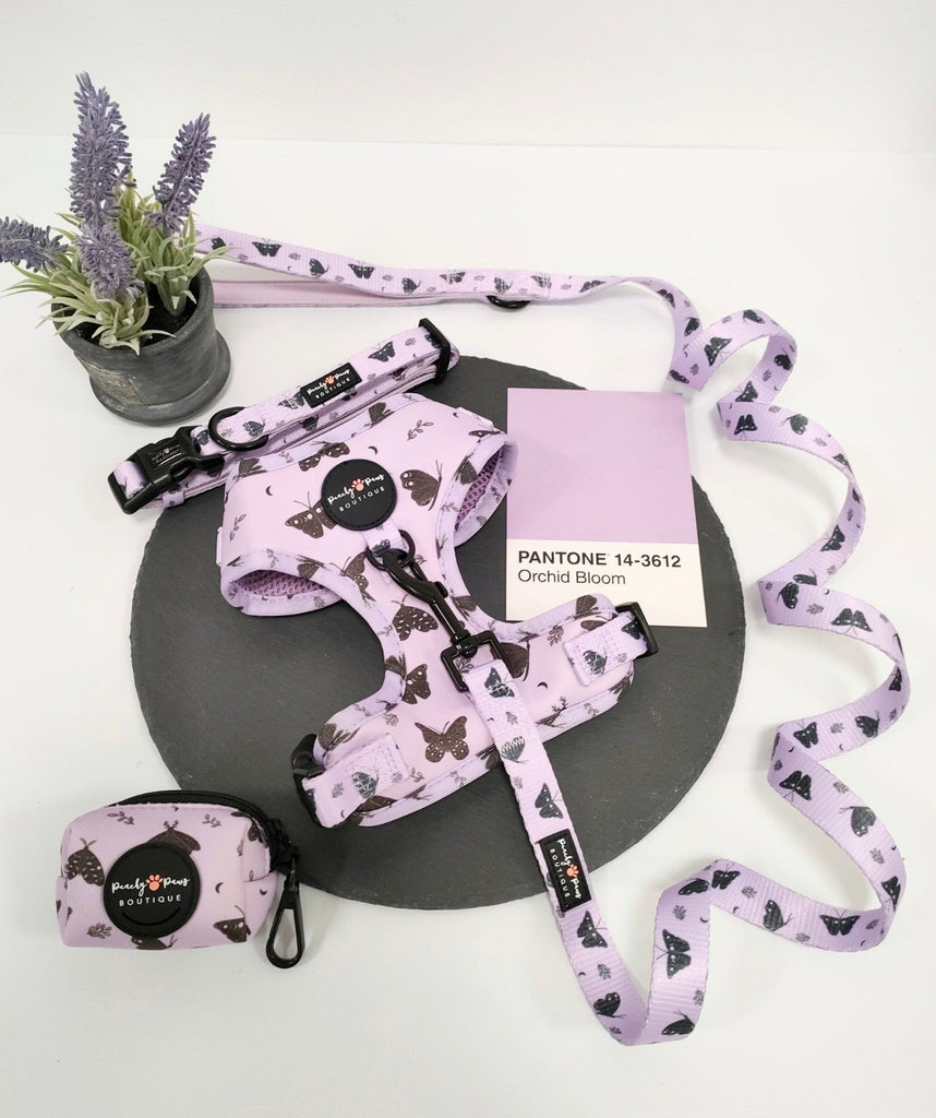 Lilac Pupperfly Dog Harness - PeachyPawsBoutique