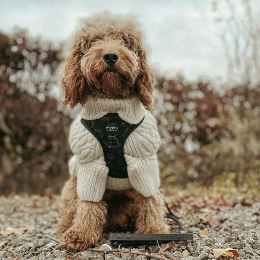 Moon Pup Dog Harness - PeachyPawsBoutique