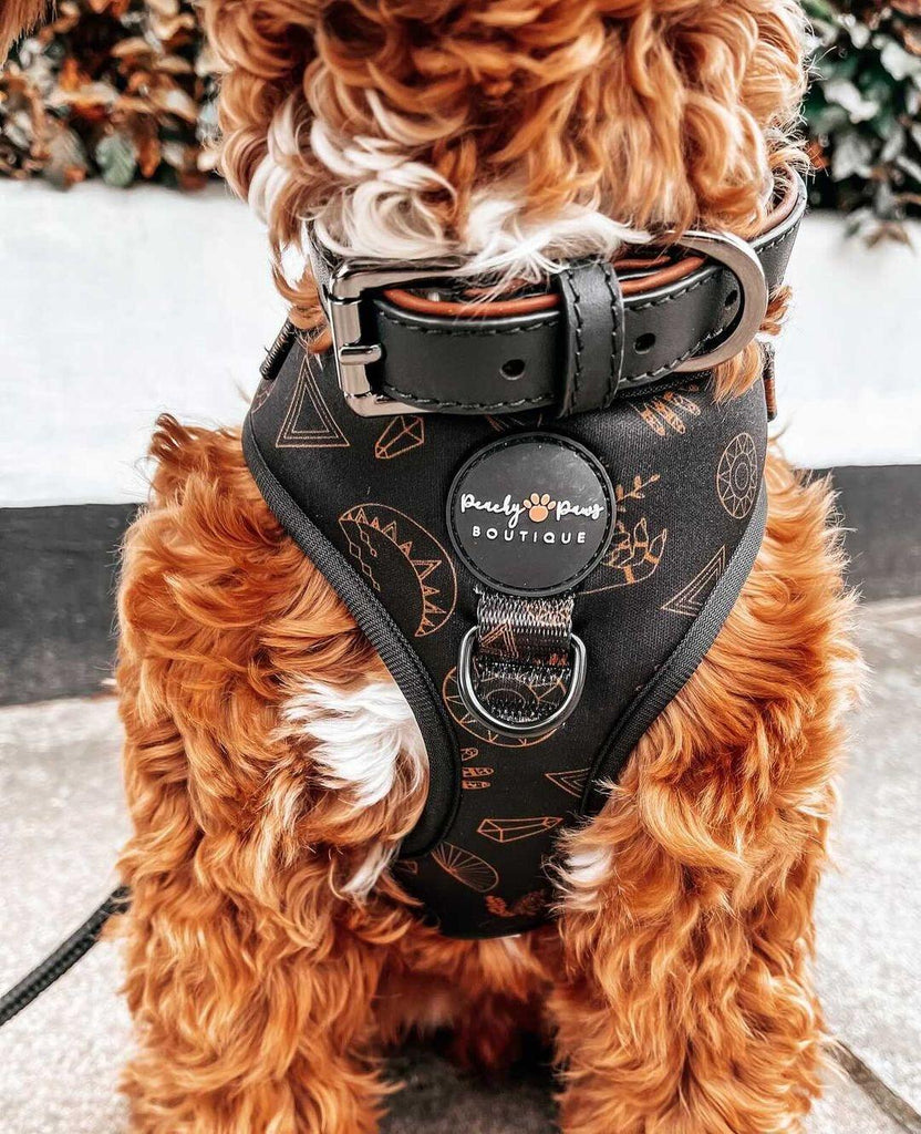 Moon Pup Dog Harness - PeachyPawsBoutique