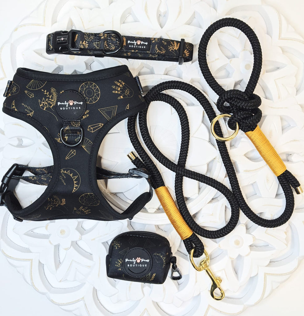 Noir and Gold Rope Lead - PeachyPawsBoutique