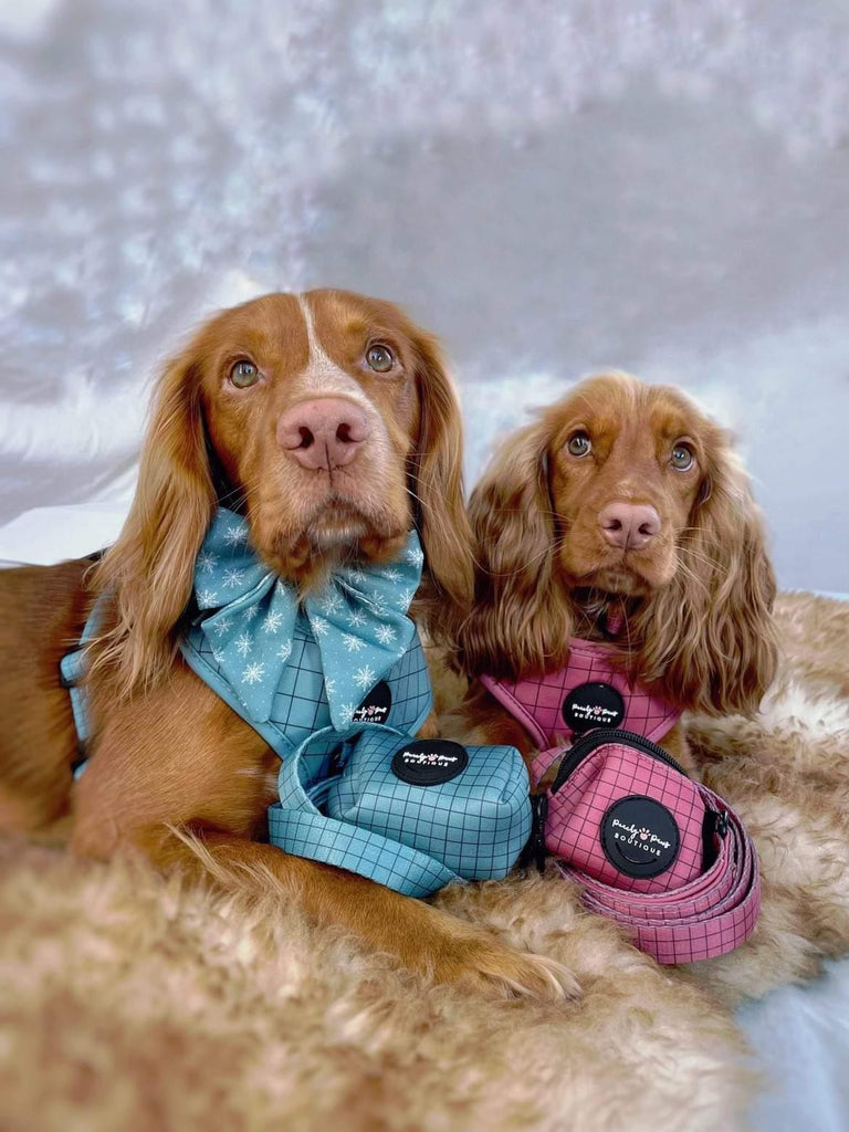 Off the Grid Duck Egg Dog Harness - PeachyPawsBoutique
