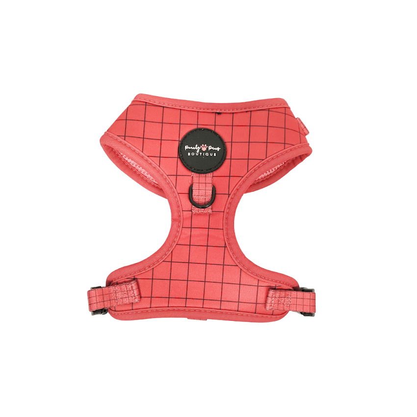 Off the Grid Raspberry Dog Harness - PeachyPawsBoutique