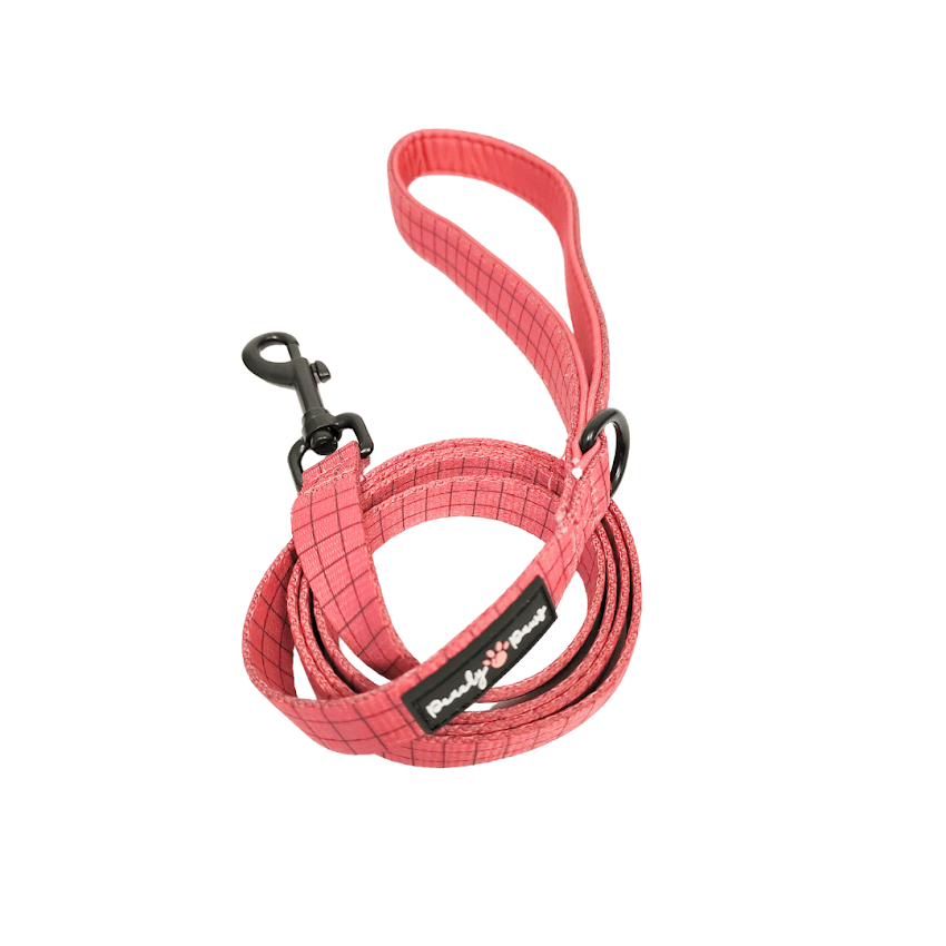 Off the Grid Raspberry Dog Lead - PeachyPawsBoutique