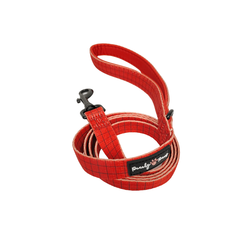 Off the Grid Red Dog Lead - PeachyPawsBoutique
