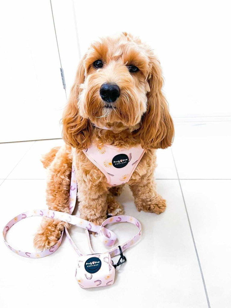Over The Rainbow Dog Harness - PeachyPawsBoutique
