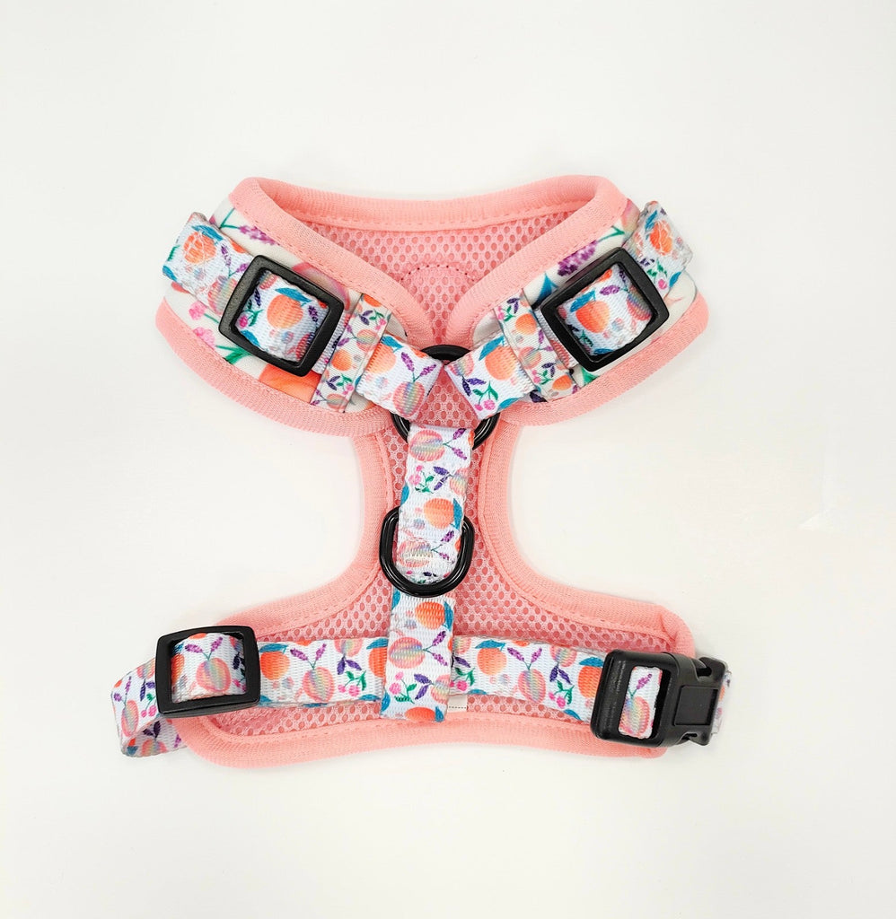 Perfectly Peachy Dog Harness - PeachyPawsBoutique