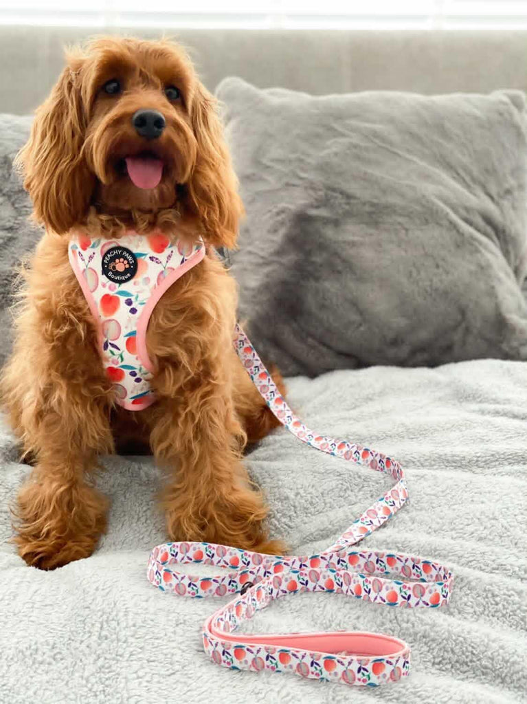 Perfectly Peachy Dog Lead - PeachyPawsBoutique