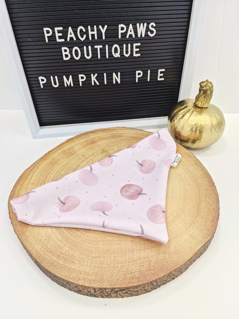 Pumpkin Pie Bandana - PeachyPawsBoutique