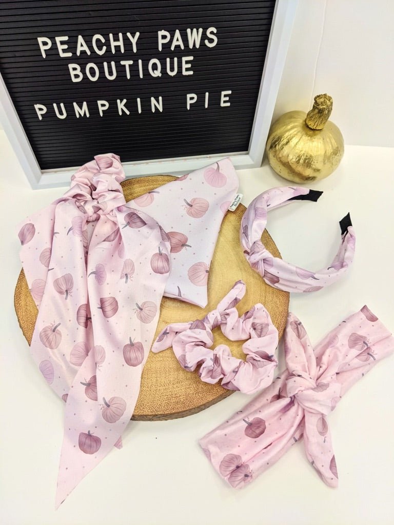 Pumpkin Pie Head Tie - PeachyPawsBoutique