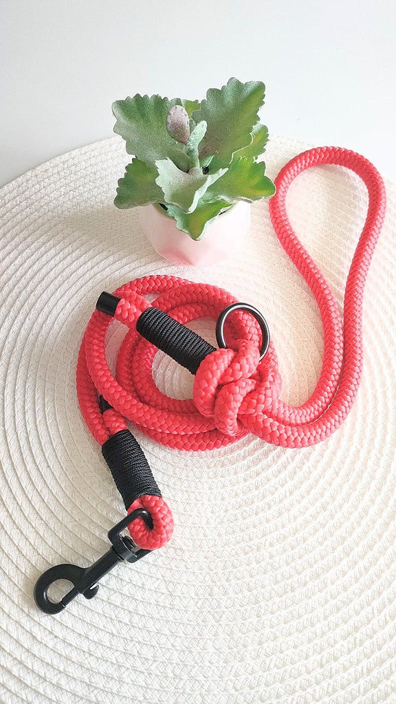 Red and Noir Rope Lead - PeachyPawsBoutique