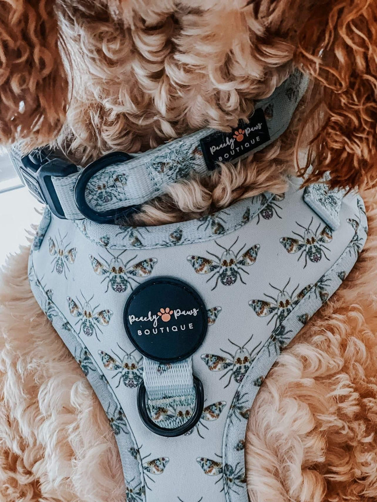 Save the Bees Dog Harness - PeachyPawsBoutique