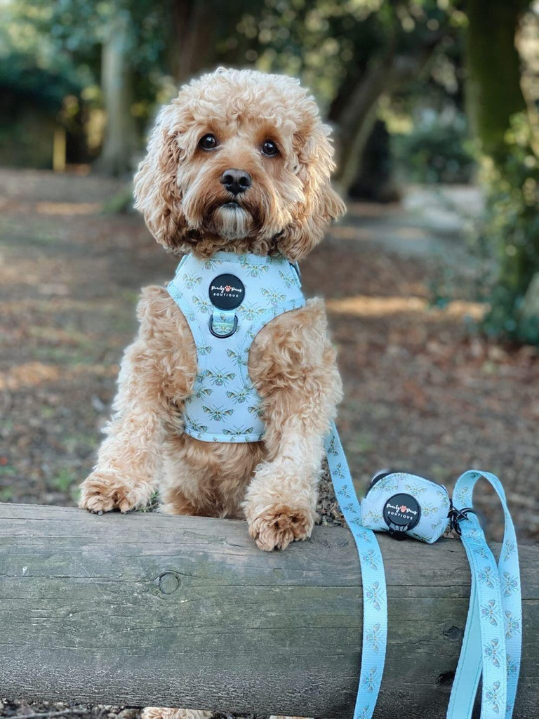 Save the Bees Dog Lead - PeachyPawsBoutique