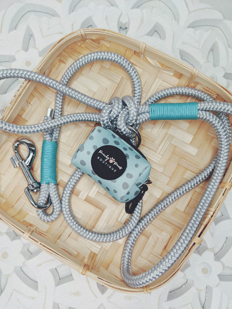 Silver and Turquoise Rope Lead - PeachyPawsBoutique