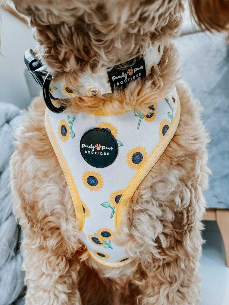 Sunflowers Dog Collar - PeachyPawsBoutique